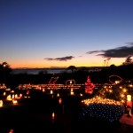 Devoncourt leads the lights